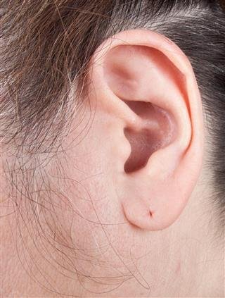 Pierced Ear