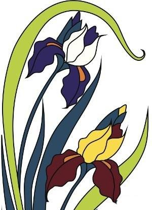 beautiful iris design