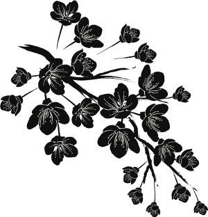 black cherry blossom design