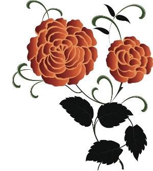 carnation design