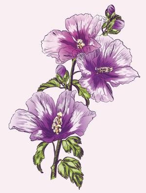 hibiscus flower design