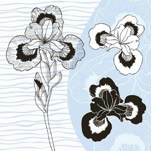 iris flower designs