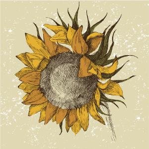 jaded sunflower design
