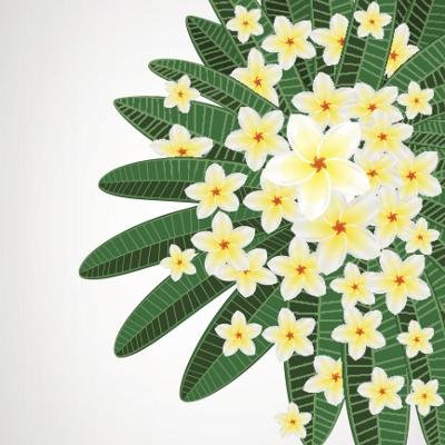 jasmine bunch design