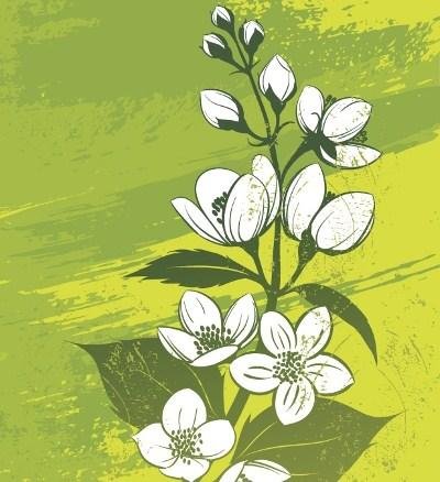 jasmine flowers design