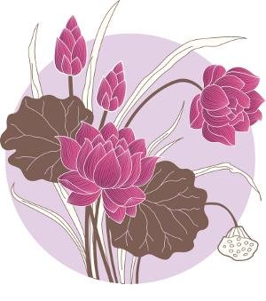 pink lotus design