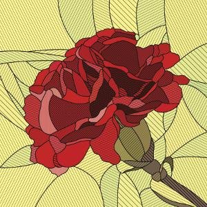 red carnation design