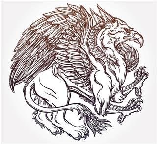 Griffin beast illustration