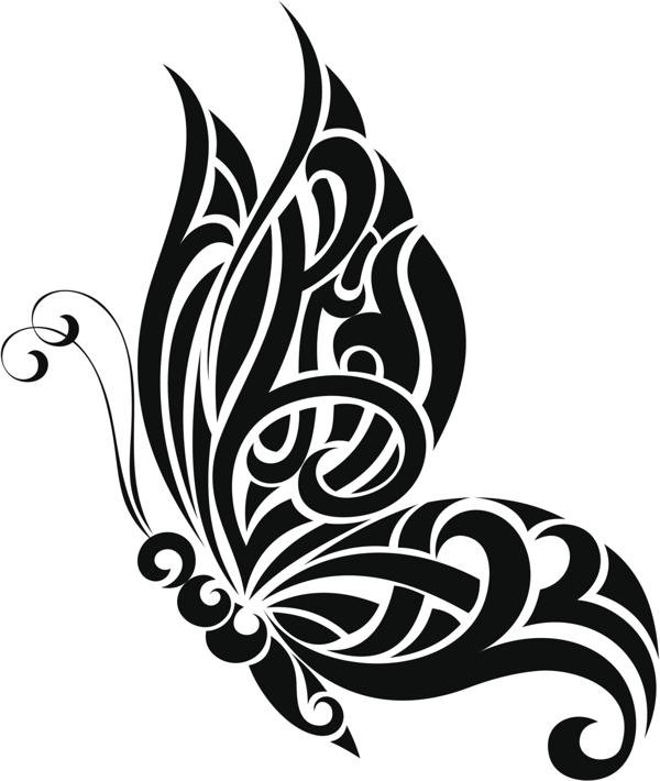 butterfly
