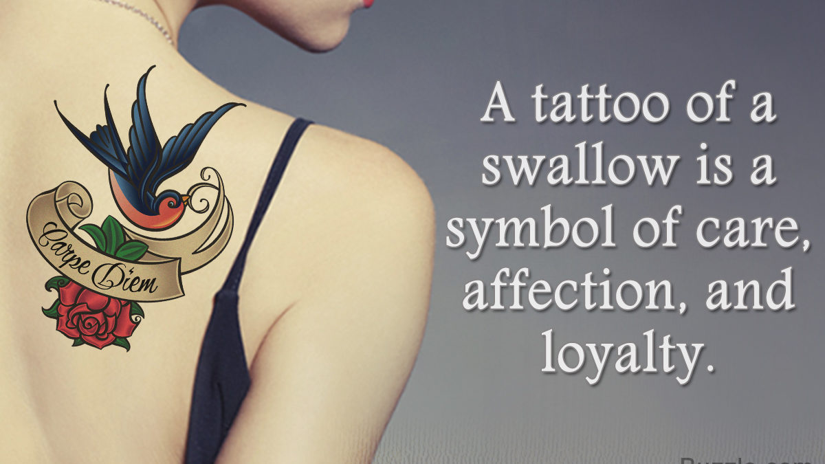 See the Different Meanings Behind a Bird Tattoo and Be Amazed - Thoughtful  Tattoos