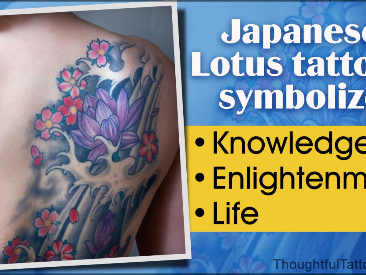 Japanese Lotus Tattoo Vector Images over 320