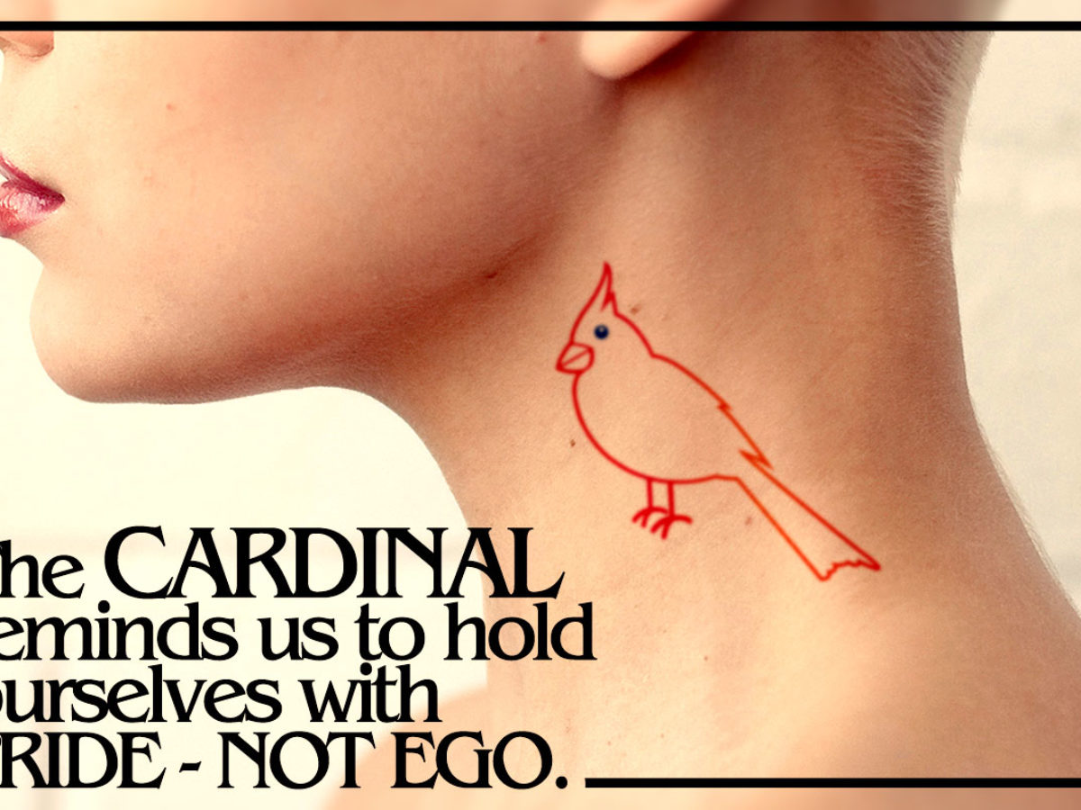 34 Versatile Cardinal Tattoo Designs Ideas Pictures  Photos  PICSMINE